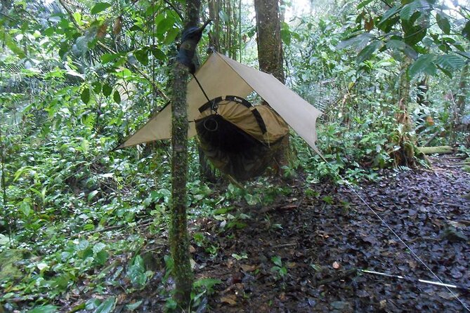 2-Day Forest Survival and Nature Course in Luang Prabang - Meeting Point Information