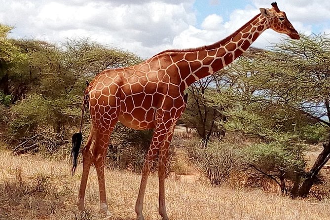 2-Day Maasai Mara National Reserve Safari From Nairobi - Booking and Cancellation Policy
