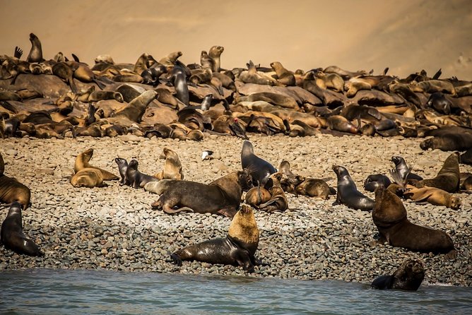 2-Day Nazca Lines and Ballestas Islands From Lima - Preparation and Packing Tips