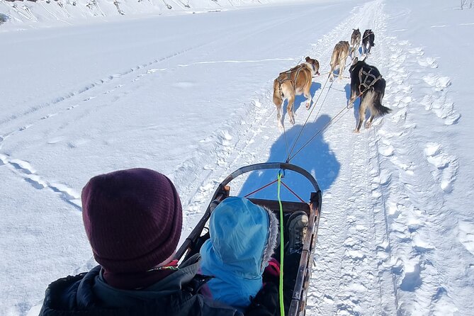 2 Day Overnight Cabin at the Kennel With Dog Sledding in Alta - Price and Cancellation Policy