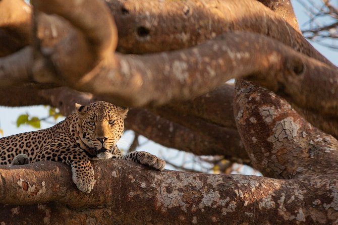 2-Day Private Safari Tour of Lake Nakuru National Park - Booking and Confirmation Process