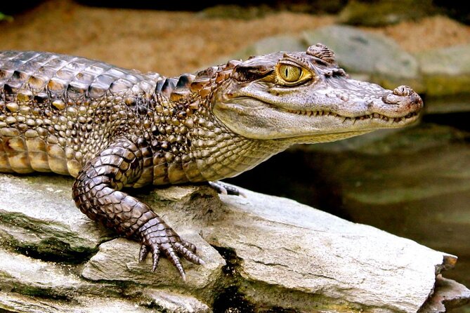 2 Day Private Tour in Tambopata Amazon - Customer Experiences and Reviews