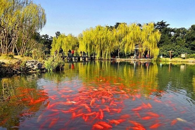 2 Days 1 Night Classic Tour to Catch the Highlights in Hangzhou - What to Expect During the Tour