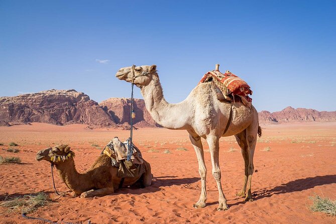 2 Days 1 Night in Wadi Rum Jeep Tour - Additional Information