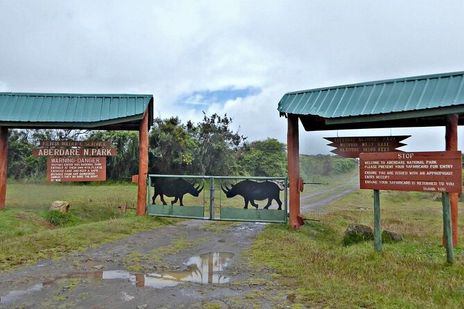 2 Days Aberdare National Park & Solio Ranch Safari - Safari Activities