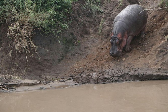 2 Days Budget Mid Range Safari Tour Tanzania - Pickup and Transportation