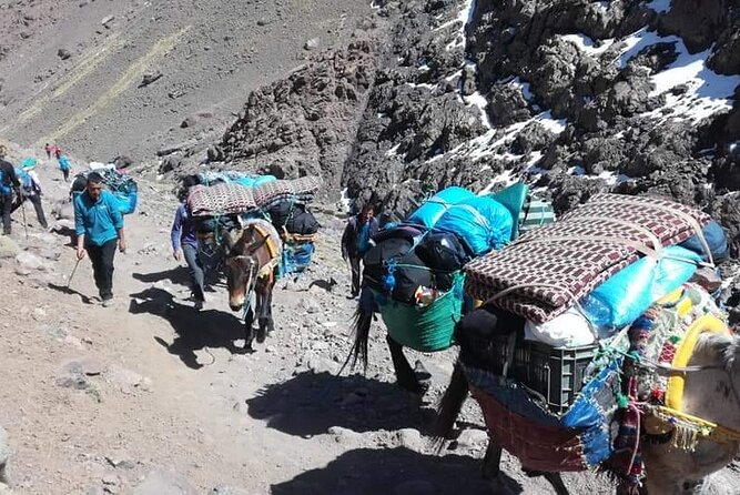 2- Days Climbing Toubkal Mountains - Additional Activities in Marrakech