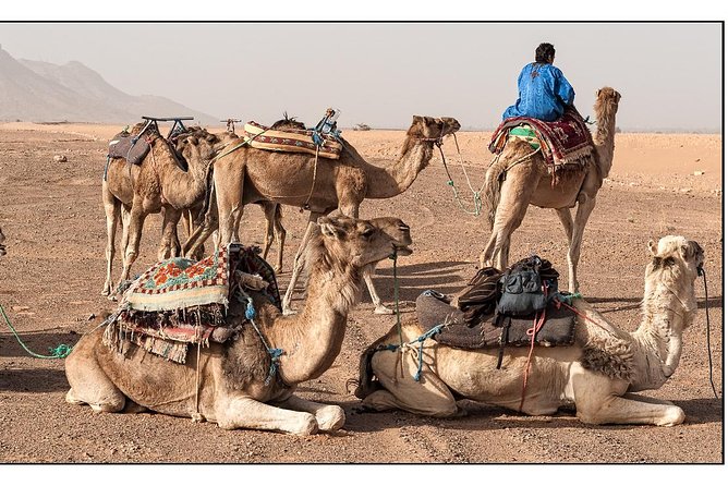 2 Days Desert Tour From Marrakech to Zagora - Booking and Cancellation Policy