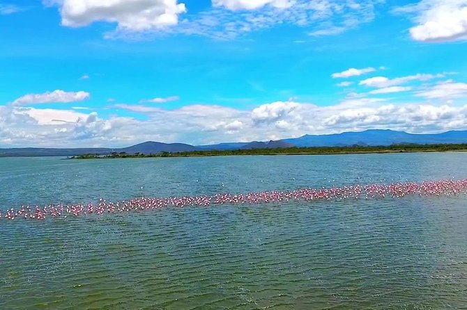 2 Days Lake Elementaita National Park Safari