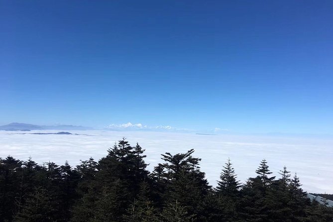 2 Days Leshan Mt.Emei High Speed Train Tour - Exclusions