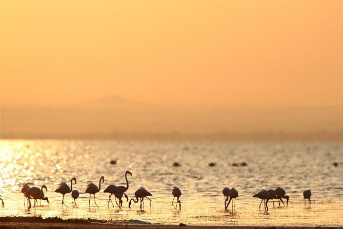 2 Days Lodge Safari; Lake Manyara & Ngorongoro Crater - Additional Tour Information
