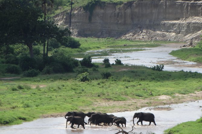 2 Days Safari to Tarangire NP & Ngorongoro Crater From Arusha - Health and Safety