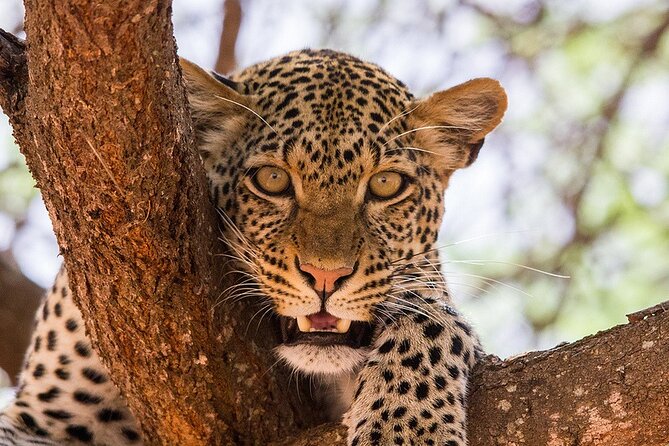 2 Days Taita Hills Conservancy Tour - What To Expect