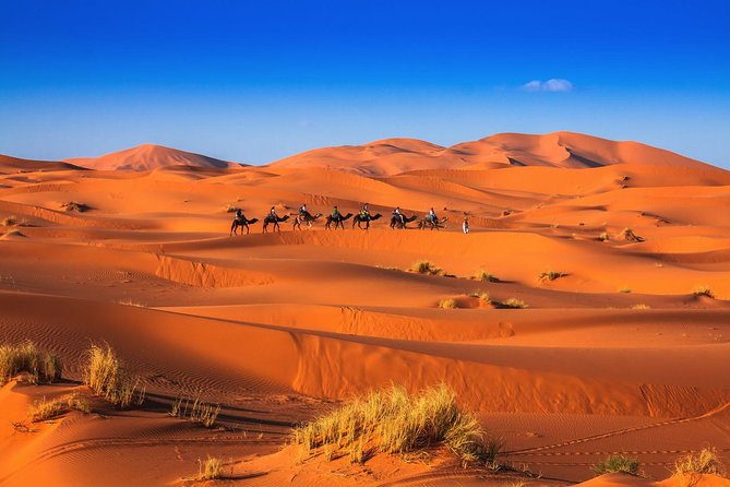 2 Days Tour From Marrakech to Merzouga Sahara Desert - Included Activities