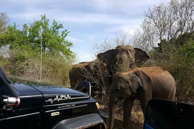2 Days Tour to Udawalawe & Yala National Park From Negombo - Frequently Asked Questions
