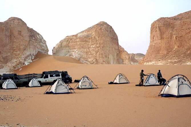 2 Days White Desert and Bahariya Oasis Private Tour - Important Information