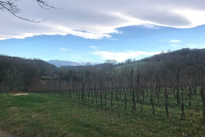 2 Days Wine Tasting Private Tour - Important Notes