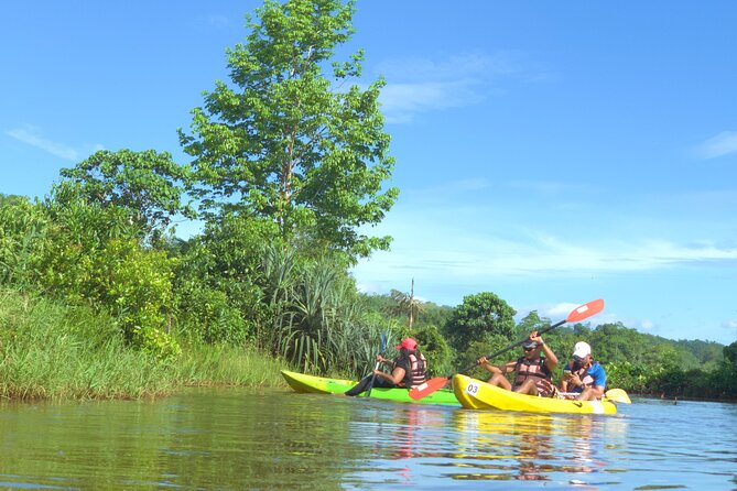 2 Hour Kayaking/Sup Session in Baddegama (Nature and Birdlife) - The Sum Up