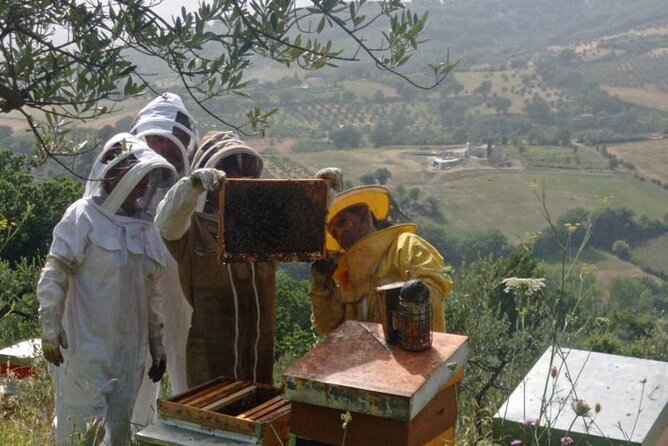 2 Hours Beekeeping and Honey Tasting Activities in Assisi - Booking Information and Reviews