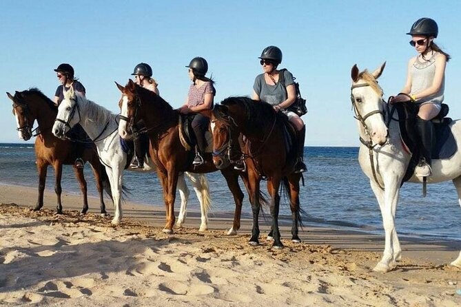 2 Hours Horse Riding With Transfer From Hurghada - Additional Information