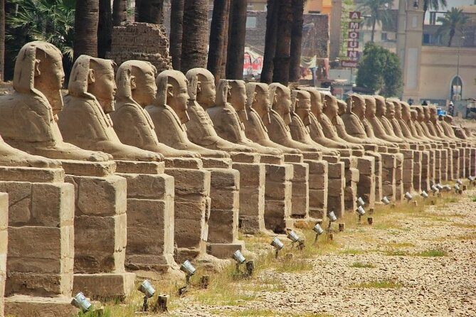 2 Nights Aswan and Luxor Nile Cruise With Tours,Hot Air Balloon From Marsa Alam - Accommodation and Meals Included