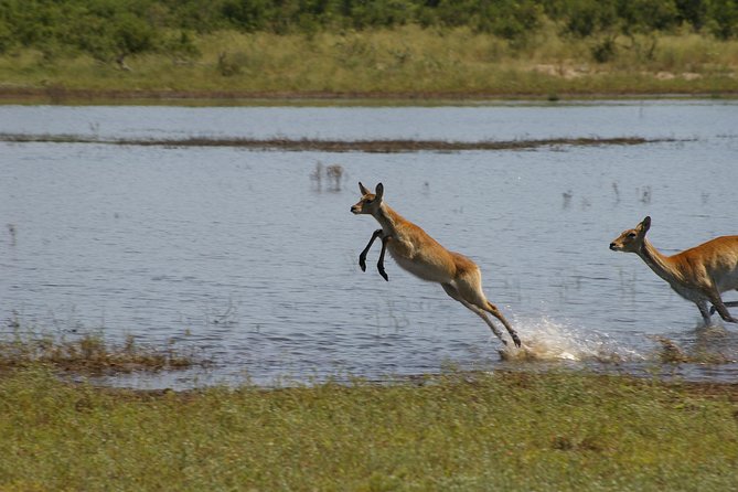 20 Days Love of Africa - Availability and Guarantee