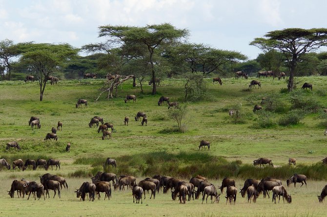 3 Day Maasai Mara Air Package With Limited Slots - Price Details