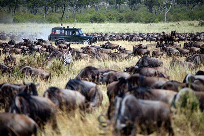 3-Day Masai Mara Private Flying Safari With 4x4 Game Drives - Booking Information
