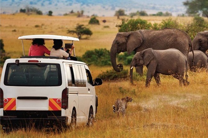 3-Day Masai Mara Safari (Mid-Range Accommodation) - Pricing and Group Size