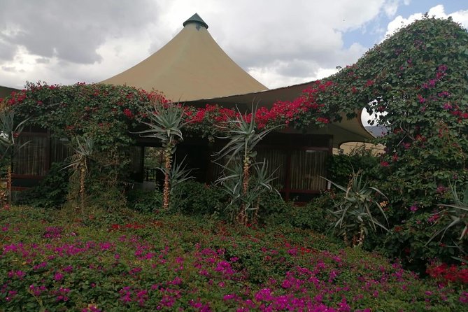 3-Day Private Amboseli/Mt. Kilimanjaro Safari (LUXURY) - Meal and Refreshment Inclusions
