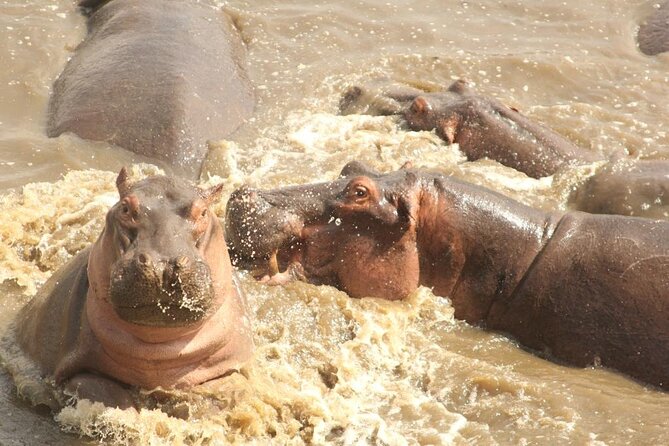 3-Day Safari to Serengeti National Park - Additional Tips and Recommendations