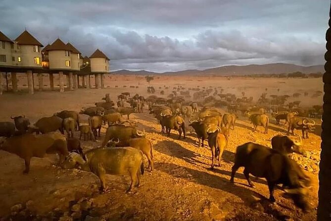 3 Day Safari Tsavo East - Additional Notes
