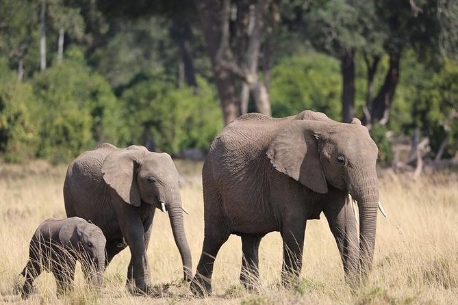 3 Days 2 Night Maasai Mara Safari From Mombasa - Cancellation Policy Details