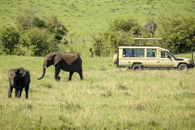 3 Days Amboseli and Tsavo West National Park Safari From Nairobi - Cancellation Policy Guidelines