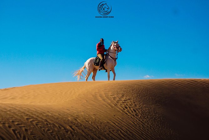 3 Days Desert Tour and Horseback Riding - Accessibility and Health Requirements