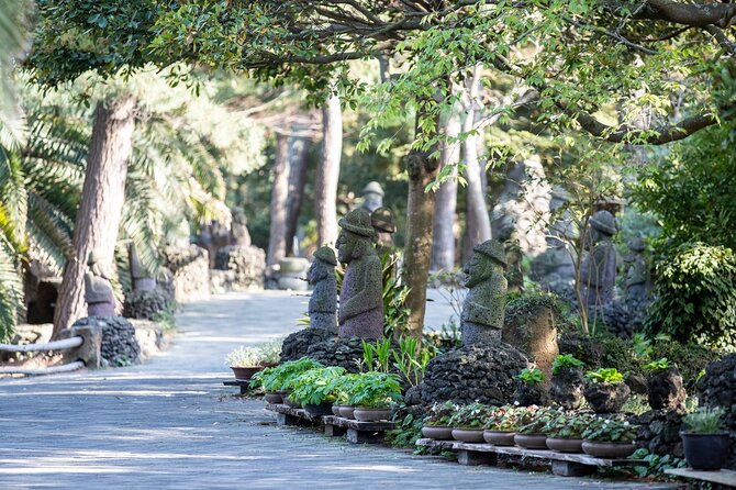 3 Days Guided Wellness Holiday Tour in Jeju - Group Size Limit and Operator