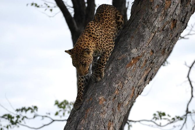 3 Days Hiking Safari To Mountain Elgon Sipi Hiking - Safety Tips