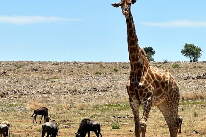 3 Days In Kruger National Park With Panorama Route - Cultural Experiences