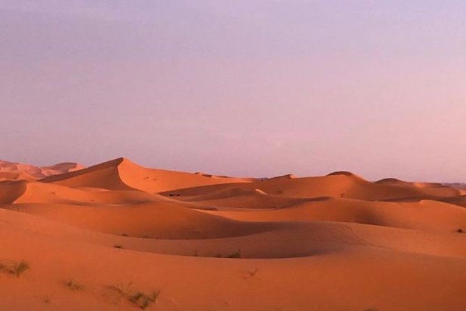 3 Days in the Merzouga Desert From Marrakech to Fes: Luxury Camp - Price and Payment Information