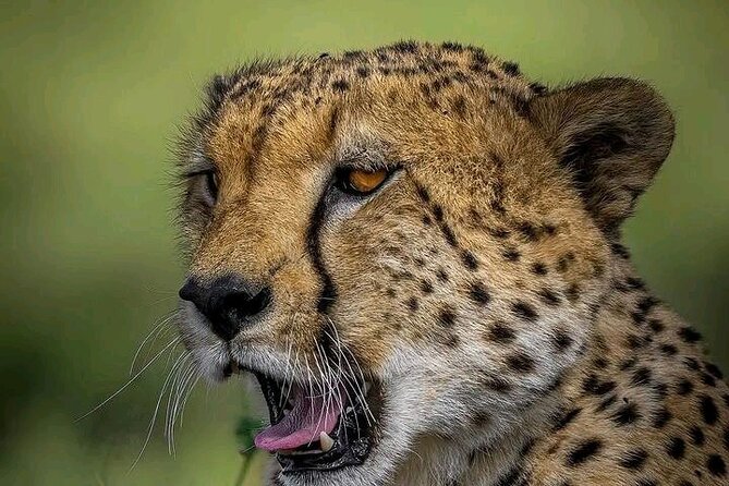 3 Days Masai Mara Joining Safari - Accessibility Details
