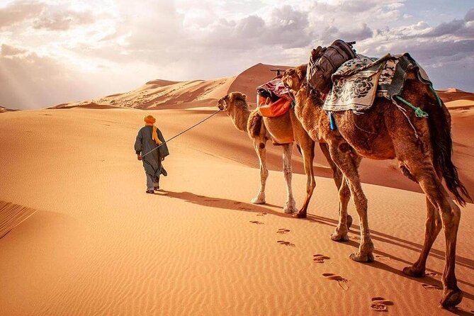 3 Days Merzouga Desert & Camel Ride - Booking Process