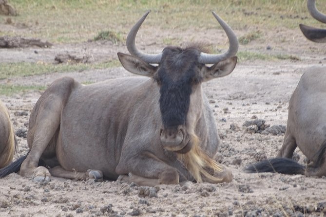 3 Days Safari Start in Nairobi - Amboseli - Tsavo West - End in Mombasa - Background Information