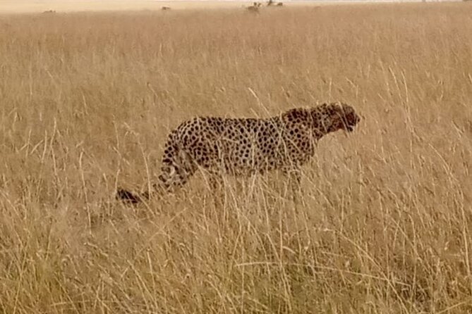 3 Days Safari to Amboseli National Park Starting From Nairobi - Booking and Cancellation Policy