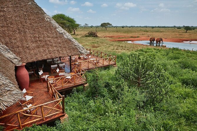 3 DAYS SALTLICK and NGUTUNI SAFARI (Minimum 2 Pax) - Lowest Price Guarantee