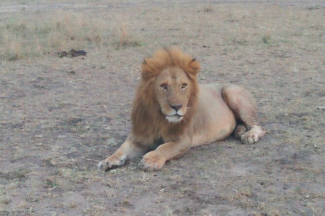 3 Days Samburu National Reserve Safari - Itinerary Highlights