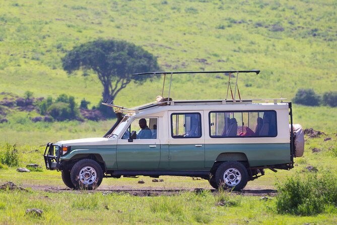 3 Days-Serengeti National Park Iconic Safari - Booking and Payment Process