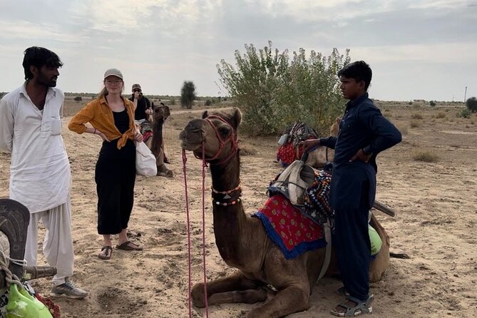 3 Days Tour in Wild Desert Safari - Safari Activities