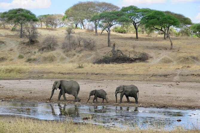 3 Days Tsavo East National Park and Taita Hills Sanctuary on Jeep - Safari Experience Highlights