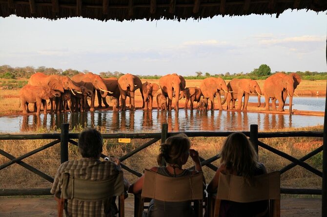 3 Days Tsavo East -Tsavo West Ziwani Package ( Minimum 2 Persons) - Cancellation Policy