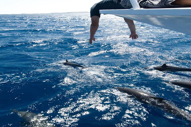 3-Hour Private Speed Boat Dolphins and Snorkeling Cruise - Cancellation Policy Details